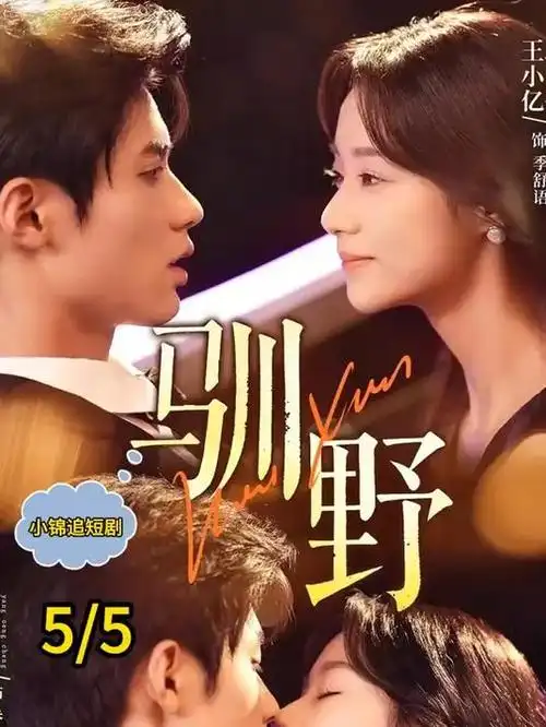 复盘职场悬疑剧集午夜在线观看海报